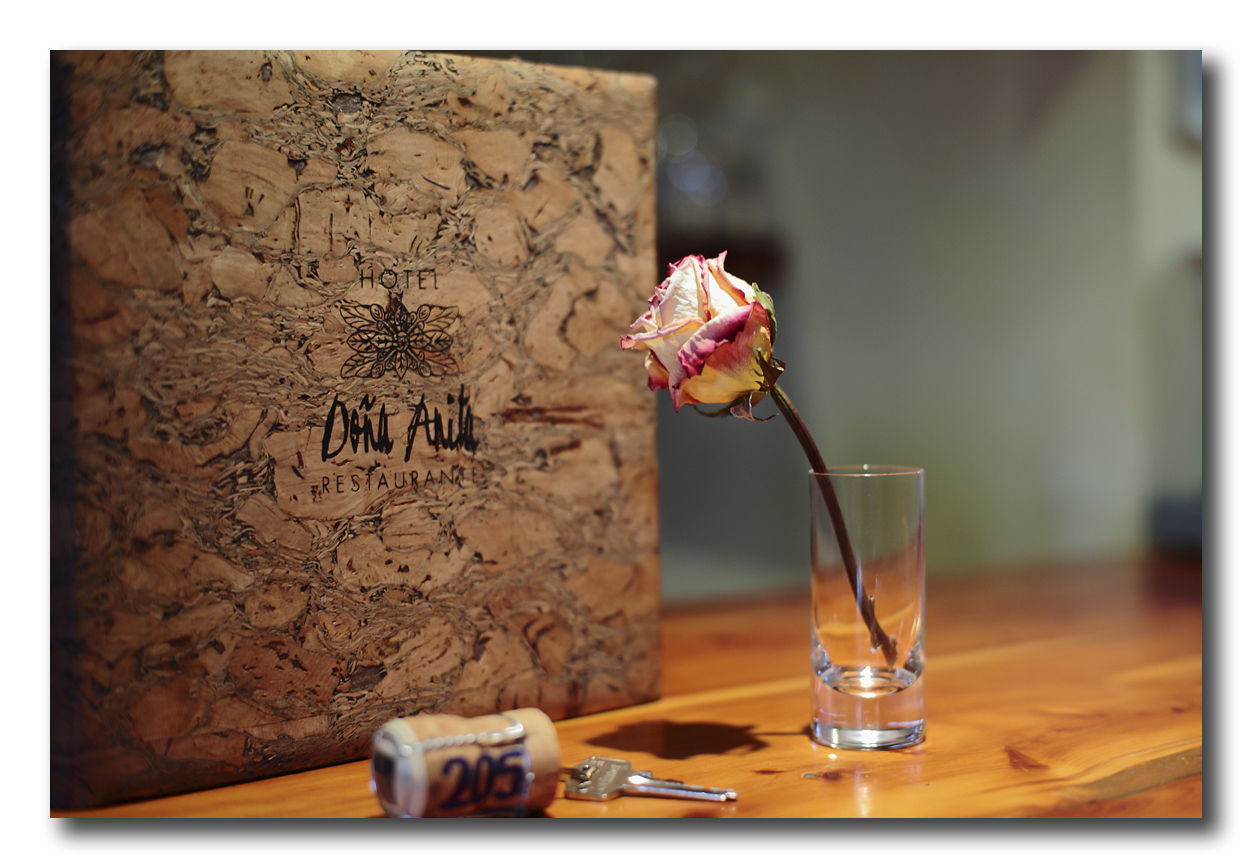 Hotel Restaurante Dona Anita เรเกนา ภายใน รูปภาพ